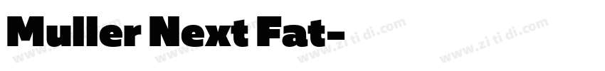 Muller Next Fat字体转换
